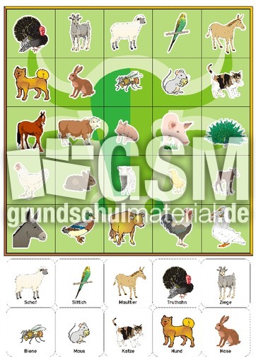 BG-Haustier Tafel grün.pdf